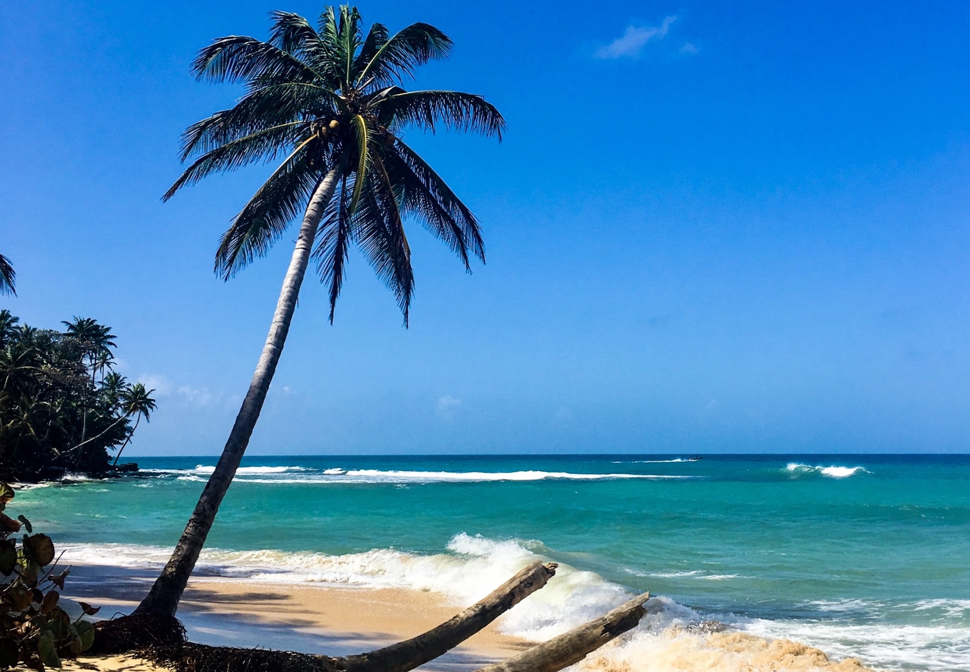 Otto Beach